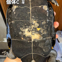 画像5921