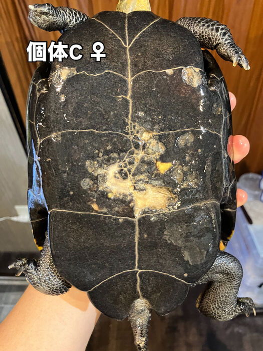 画像5921