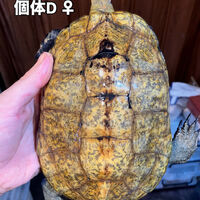 画像5922