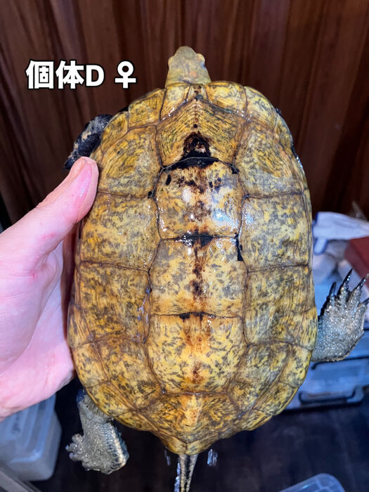 画像5922