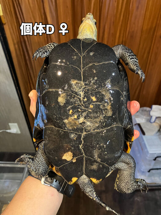 画像5923