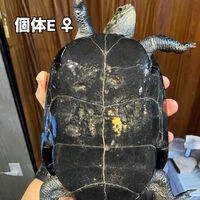 画像5925