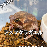 画像5927