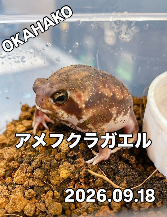 画像5927