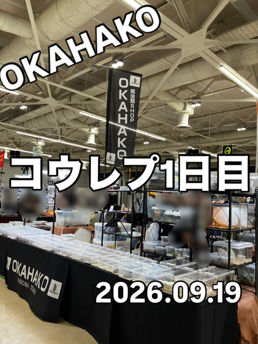 画像5929