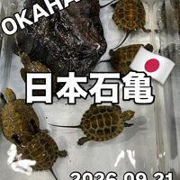 画像5931
