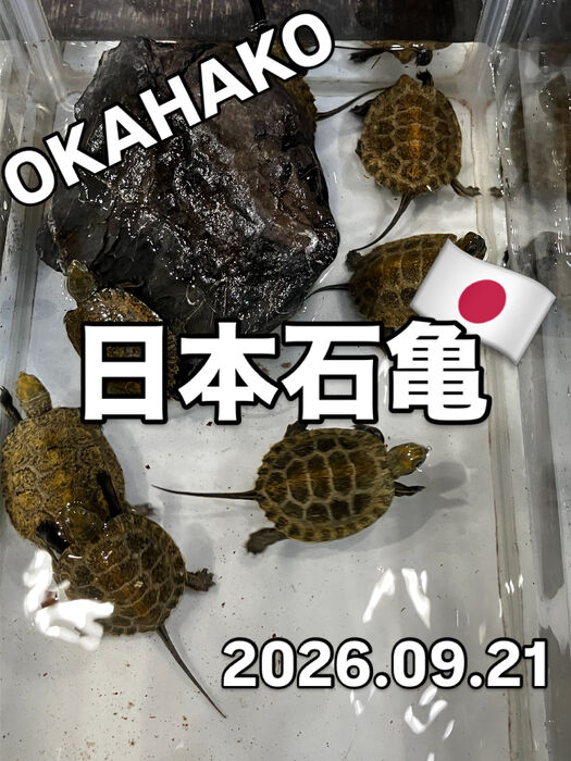 画像5931