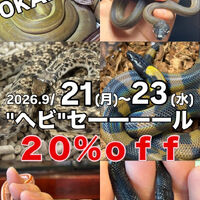 画像5937