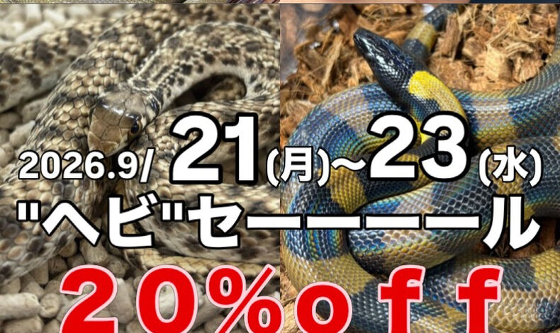 画像5937