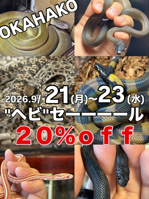画像5937