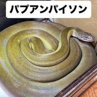 画像5938