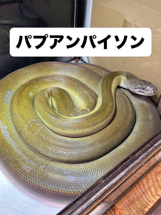 画像5938