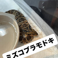 画像5946