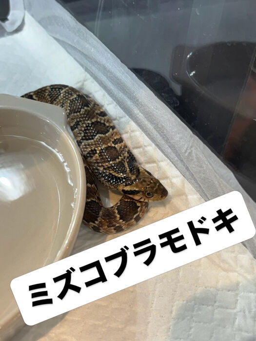 画像5946