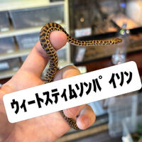 画像5947