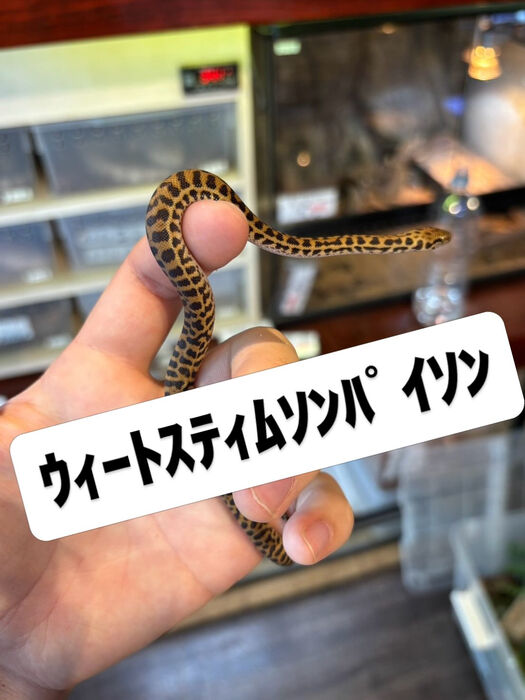 画像5947