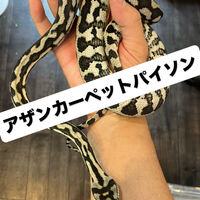 画像5948