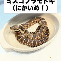 画像5949