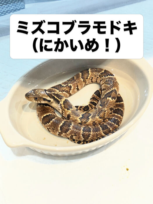 画像5949