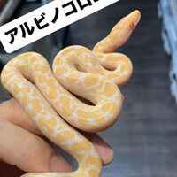 画像5952