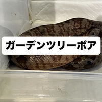 画像5953