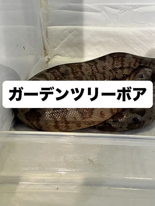 画像5953