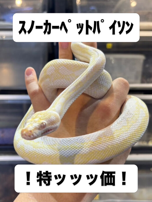 画像5955