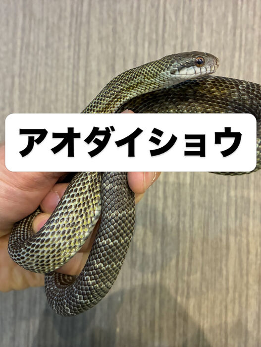 画像5956