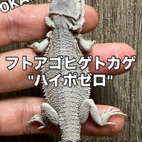 画像5958