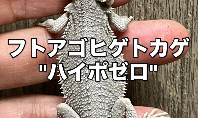 画像5958
