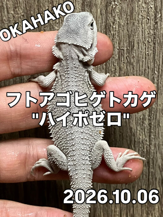 画像5958