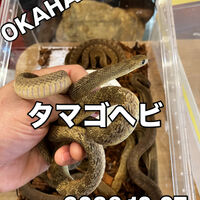 画像5966
