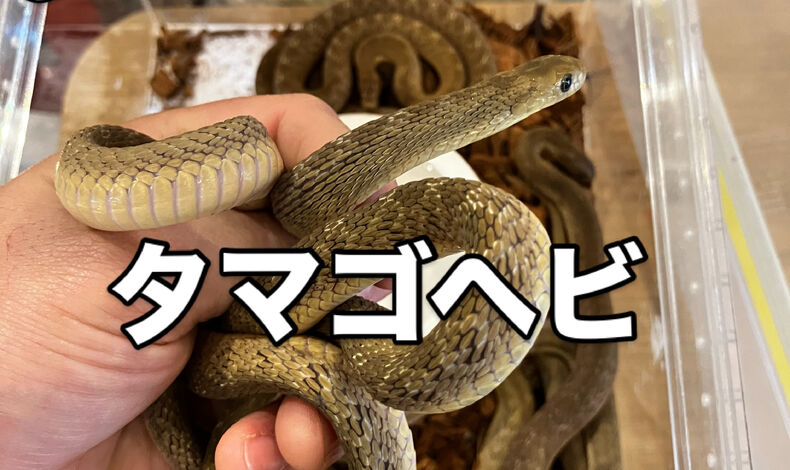 画像5966