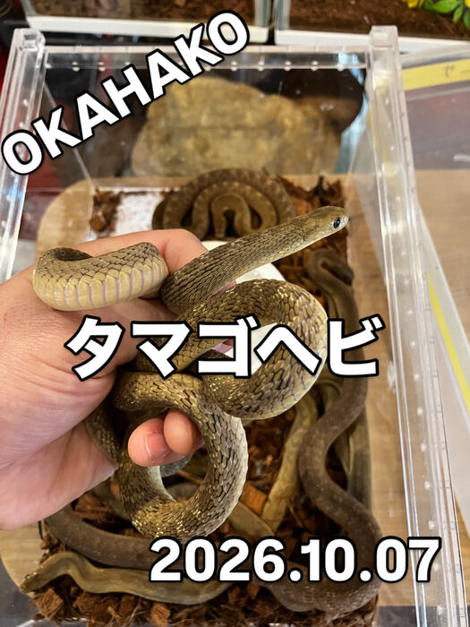 画像5966