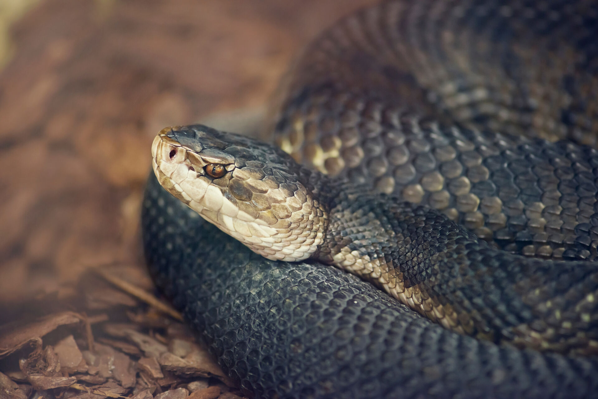 AdobeStock_314962459