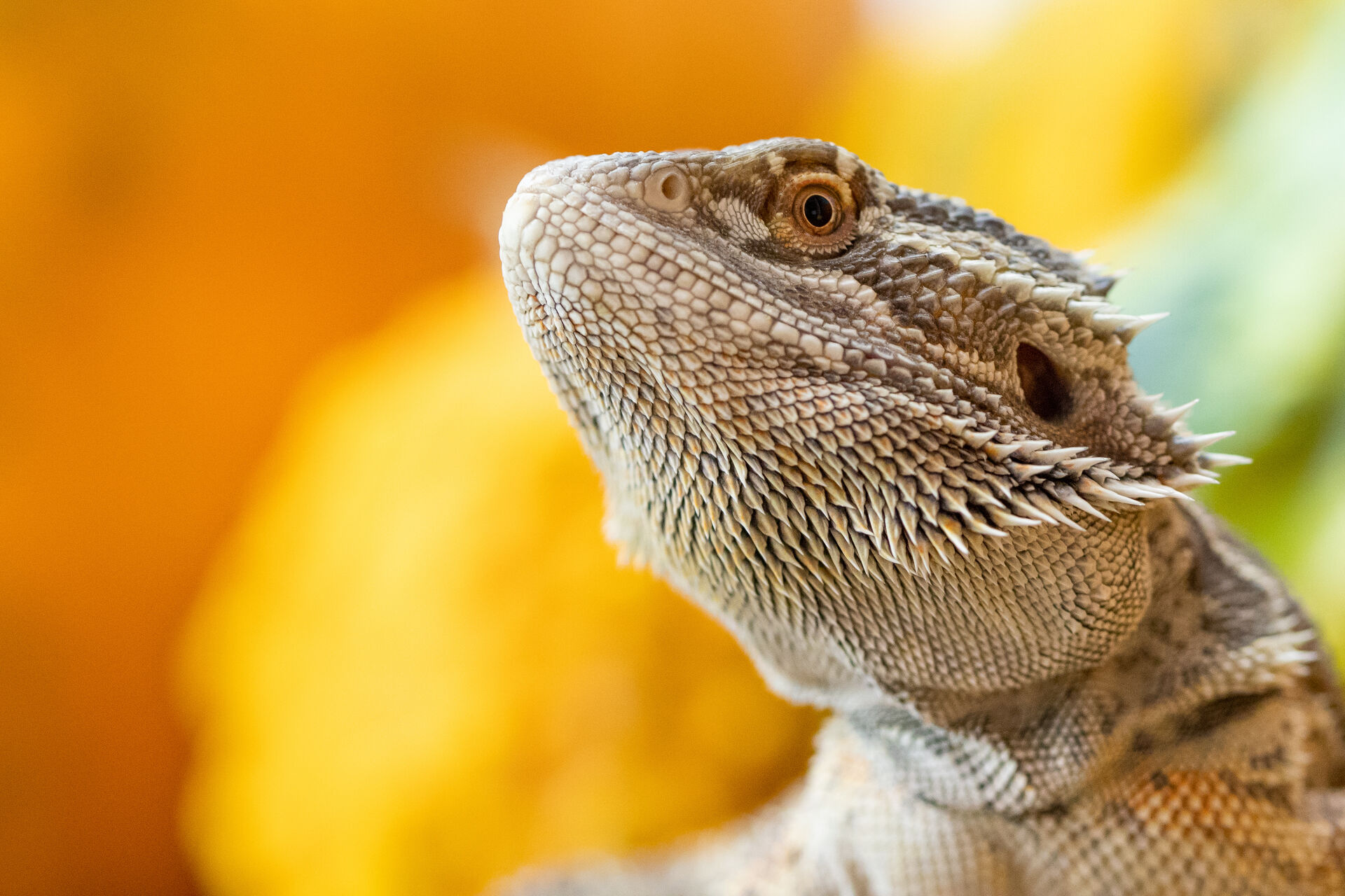AdobeStock_389910625